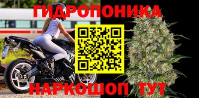 ешки Пушкино