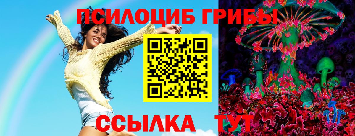 Галлюциногенные грибы мицелий  Вход с VPN  Новочебоксарск  Псилоцибиновые грибы прущие грибы 