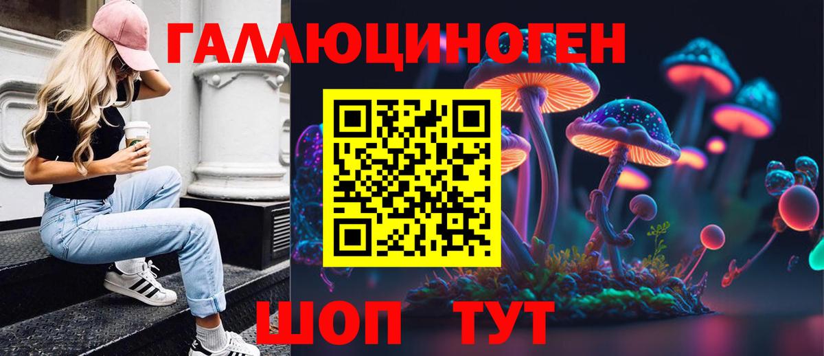 Галлюциногенные грибы Psilocybe Новочебоксарск